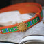 Kasturi Leather Belt - Switch Green