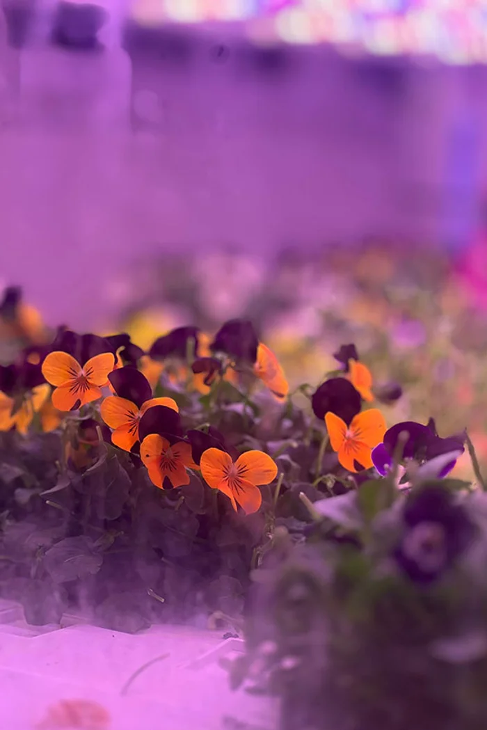 How can anything go so right?