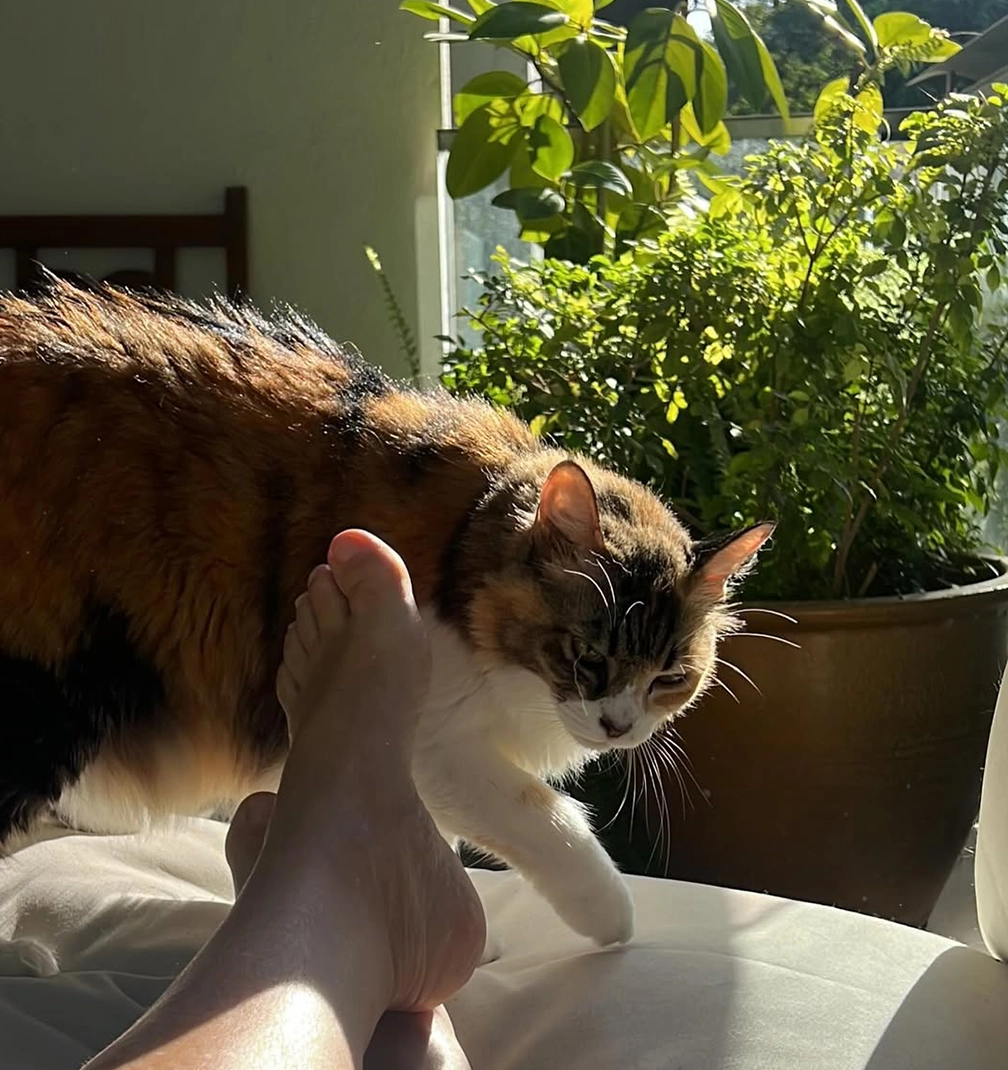 The skirt that thinks it is a painting.