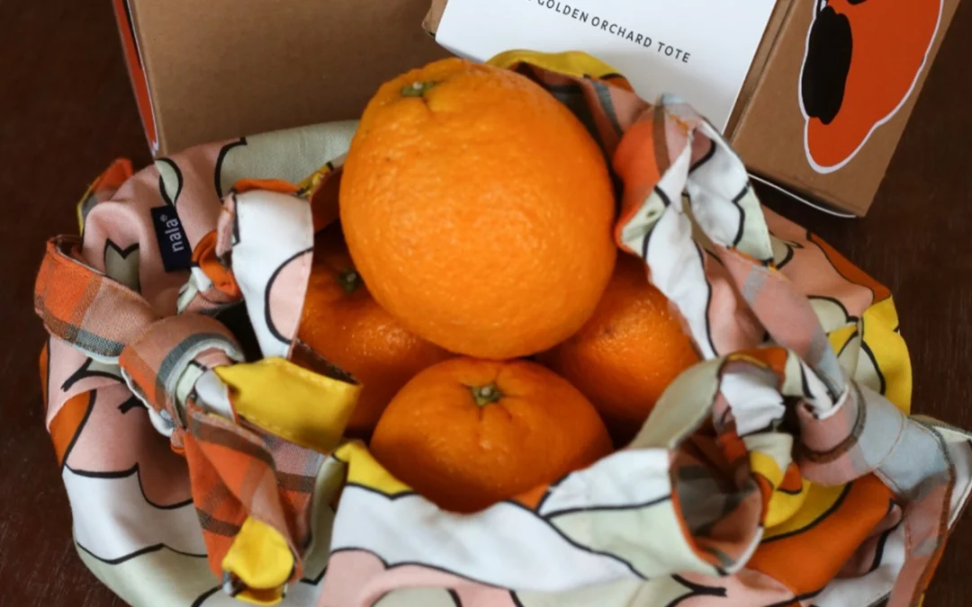 Vol.8 一年の始まりに、なにを持つ？