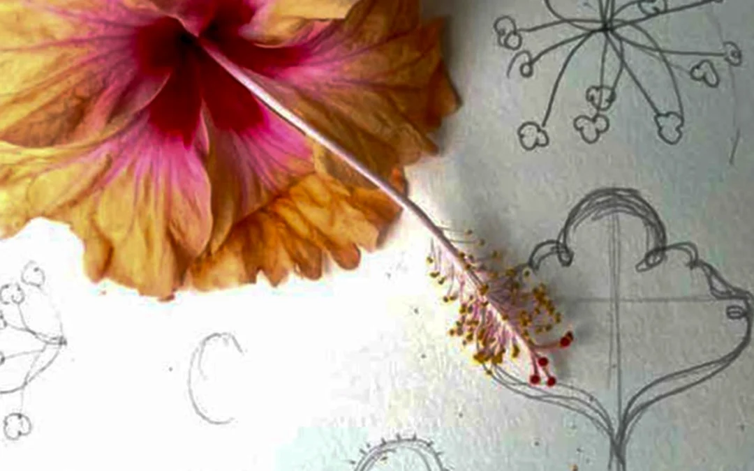 Vol.11 見慣れたものに、新たな価値を