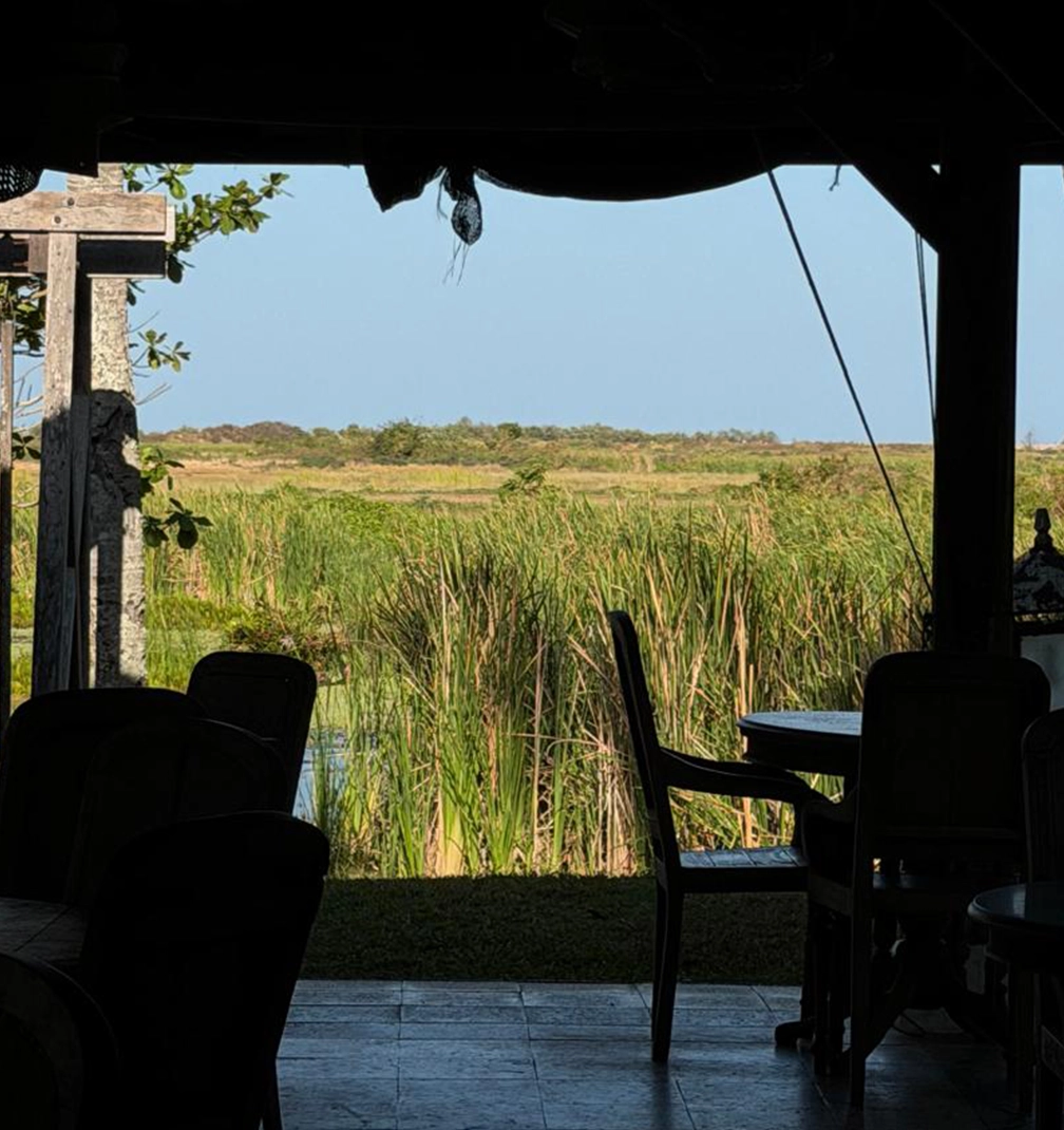 bon ton 2 The skirt that thinks it is a painting.