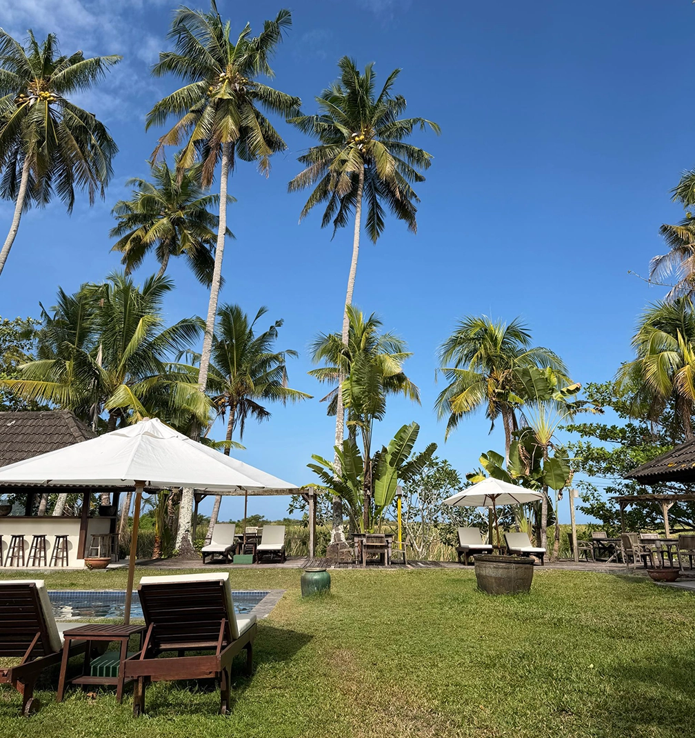 bon ton 3 The skirt that thinks it is a painting.