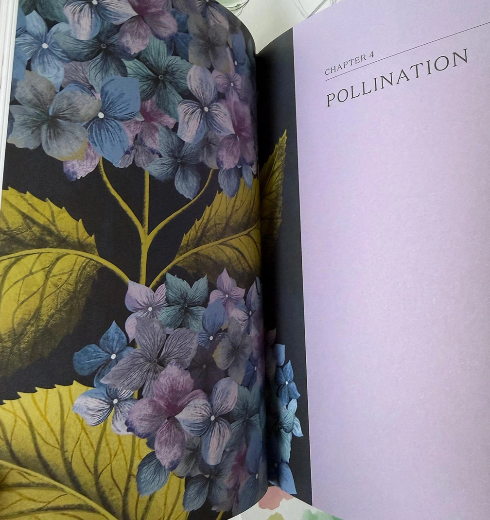 flowers book 4 The skirt that thinks it is a painting.