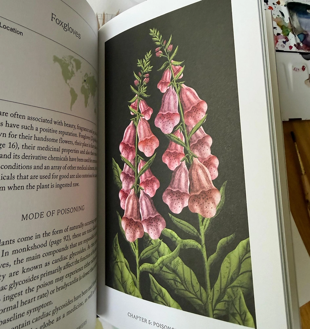 flowers book 5 The skirt that thinks it is a painting.