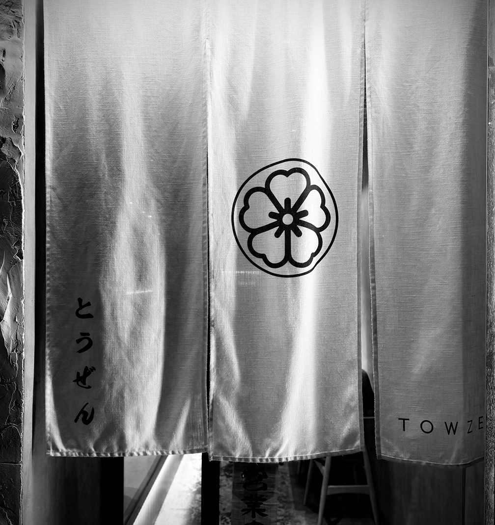Towzen 2 The skirt that thinks it is a painting.
