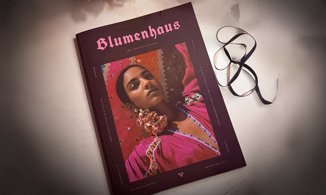 magazine 1