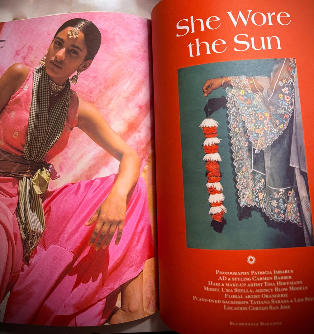magazine 5 The skirt that thinks it is a painting.
